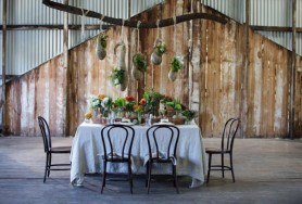 121102_Whiterabbit_0522_2