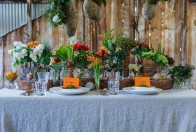 121102_Whiterabbit_0591_2