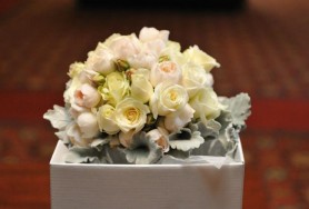 srXMvzrv_YVq9ioe_VTwS5hvg9KibxJCIxlqTS3QM1Q_lFgY_vIUwUIVWYF0_Ss61mgMsxMc1kLRc7IQ1M61ME_copy_2